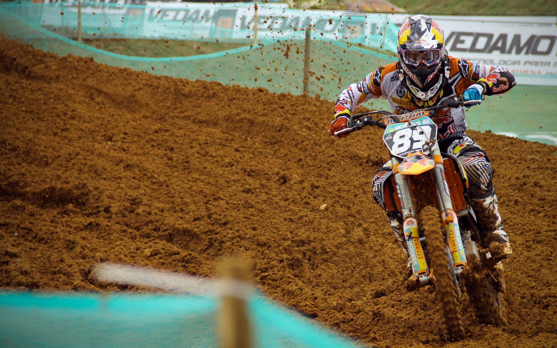 体育新闻中心球迷声音集锦,球迷轶事